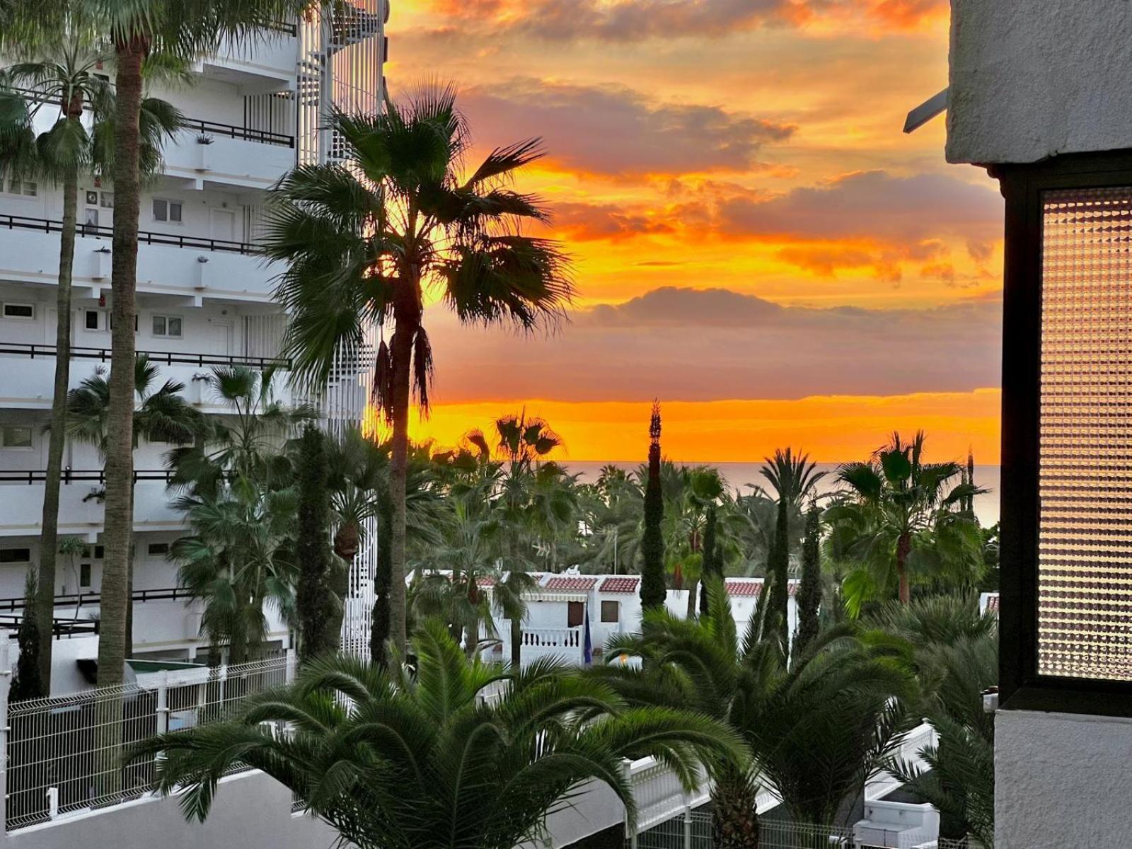 Olympia Palmalicious Apartment Playa de las Americas  Esterno foto